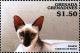 Colnect-4385-344-Siamese-chocolate-point.jpg