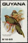 Colnect-1664-566-Golden-headed-Quetzal-nbsp-Pharomachrus-auriceps.jpg