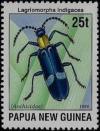 Colnect-3128-908-Pselaphid-Beetle-Lagriomorpha-indigacea.jpg