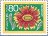 Colnect-4033-137-Blanket-flower-Gaillardia.jpg
