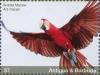 Colnect-4737-360-Scarlet-Macaw----Ara-macao.jpg