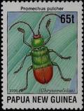 Colnect-3128-910-Leaf-Beetle-Promechus-pulcher.jpg