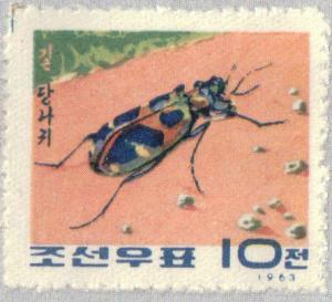 Colnect-2609-534-Japanese-Tiger-Beetle-Cicindela-chinensis-japonica.jpg