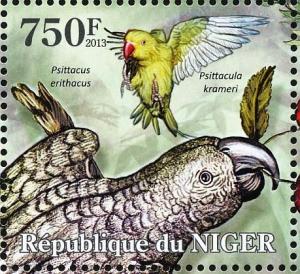 Colnect-4914-475-Rose-ringed-Parakeet-Psittacula-krameri-Grey-Parrot.jpg