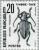 Colnect-147-059-Longhorn-Beetle-Dorcadion-fuliginator.jpg