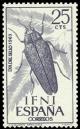 Colnect-1371-455-Beetle-Steraspis-sp-.jpg