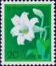 Colnect-2609-342-White-Trumpet-Lily-Lilium-longiflorum.jpg