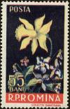 Colnect-4419-241-Narcissus-pseudonarcissus-Viola-odorata.jpg