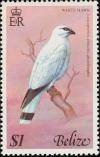 Colnect-740-530-Northern-White-Hawk-Leucopternis-albicollis-ghiesbreghti.jpg