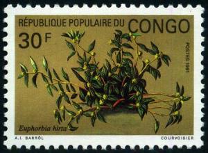 Colnect-3623-793-Euphorbia-hirta.jpg