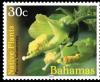 Colnect-6062-448-Pevonia-bahamensis.jpg