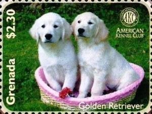 Colnect-5983-195-Golden-Retriever-Canis-lupus-familiaris.jpg