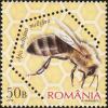 Colnect-6111-816-Dark-European-Honey-Bee-Apis-mellifera-mellifera-.jpg
