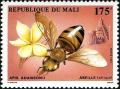 Colnect-2273-539-Africanized-Honey-Bee-Apis-mellifera-adansonii.jpg