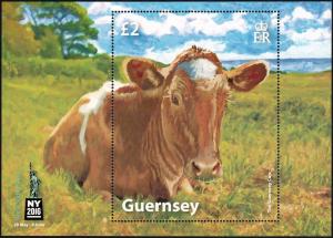 Colnect-4422-999-Golden-Guernsey-Cow-Bos-primigenius-taurus.jpg