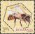 Colnect-6111-814-Carniolan-Honey-Bee-Apis-mellifera-carnica.jpg