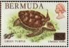 Colnect-1338-794-Green-Sea-Turtle-Chelonia-mydas---Overprinted.jpg