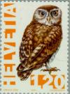 Colnect-141-193-Little-Owl-Athene-noctua.jpg