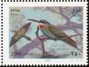 Colnect-1617-869-Madagascar-Bee-eater-Merops-superciliosus-.jpg