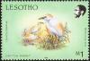 Colnect-1725-558-Cattle-Egret-Bubulcus-ibis.jpg