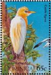 Colnect-1748-086-Cattle-Egret-Bubulcus-ibis.jpg