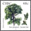 Colnect-1955-120-Sessile-Oak-Quercus-petraea.jpg