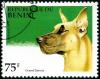 Colnect-2571-940-Great-Dane-Canis-lupus-familiaris.jpg