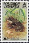 Colnect-3963-232-Gunther-s-Triangle-Frog-Ceratobatrachus-guentheri.jpg