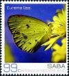 Colnect-4092-960-Little-Sulphur-Eurema-lisa.jpg