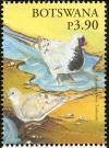 Colnect-5250-733-Laughing-Dove-Streptopelia-senegalensis.jpg
