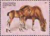 Colnect-990-638-Don-Horse-Equus-ferus-caballus.jpg