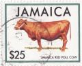 Colnect-1254-348-Red-Poll-Cattle---Cow-Bos-primigenius-taurus.jpg