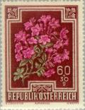 Colnect-136-230-Alpen-Rose-Rhododendron-hirsutum.jpg