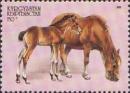 Colnect-990-638-Don-Horse-Equus-ferus-caballus.jpg