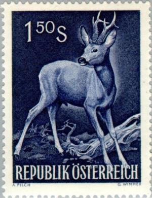 Colnect-136-438-European-roe-deer-Capreolus-capreolus.jpg