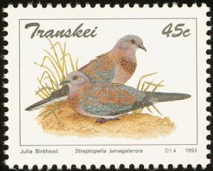 Colnect-1456-737-Laughing-Dove-Streptopelia-senegalensis.jpg