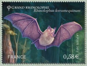 Colnect-1549-631-Greater-Horseshoe-Bat-Rhinolophus-ferrumequinum.jpg