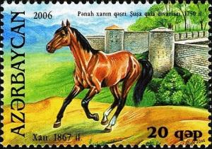 Colnect-1603-546-Karabakh-Horse--Xan--Equus-ferus-caballus.jpg