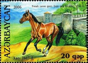 Colnect-1603-551-Karabakh-Horse--Xan--Equus-ferus-caballus.jpg