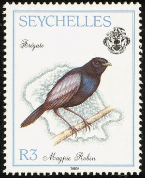 Colnect-1721-646-Seychelles-Magpie-robin%C2%A0Copsychus-seychellarus.jpg