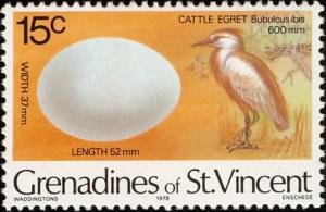 Colnect-1753-913-Cattle-Egret-Bubulcus-ibis.jpg