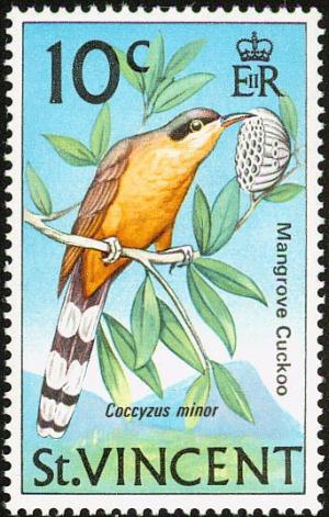 Colnect-1755-547-Mangrove-Cuckoo-Coccyzus-minor.jpg