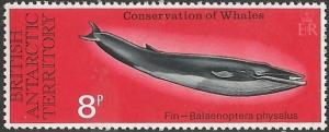 Colnect-3076-523-Fin-Whale-Balaenoptera-physalus.jpg