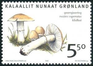 Colnect-4434-510-Edible-fungi-in-Greenland.jpg