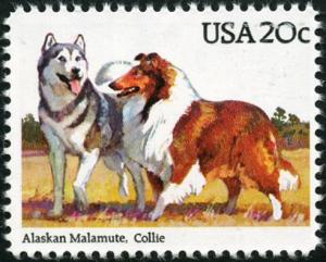Colnect-5093-899-Alaskan-Malamute-Collie-Canis-lupus-familiaris.jpg