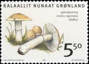 Colnect-519-477-Edible-fungi-in-Greenland.jpg