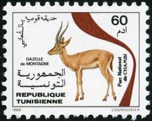 Colnect-6305-968-Cuvier-s-Gazelle-Gazella-cuvieri-Chaambi-Park.jpg