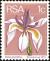 Colnect-4030-415-Large-white-iris-Dietes-grandiflora.jpg