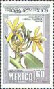 Colnect-2912-918-Vainille---Vanilla-planifolia.jpg