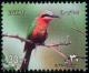 Colnect-4475-834-Carmine-Bee-eater-Merops-nubicoides.jpg